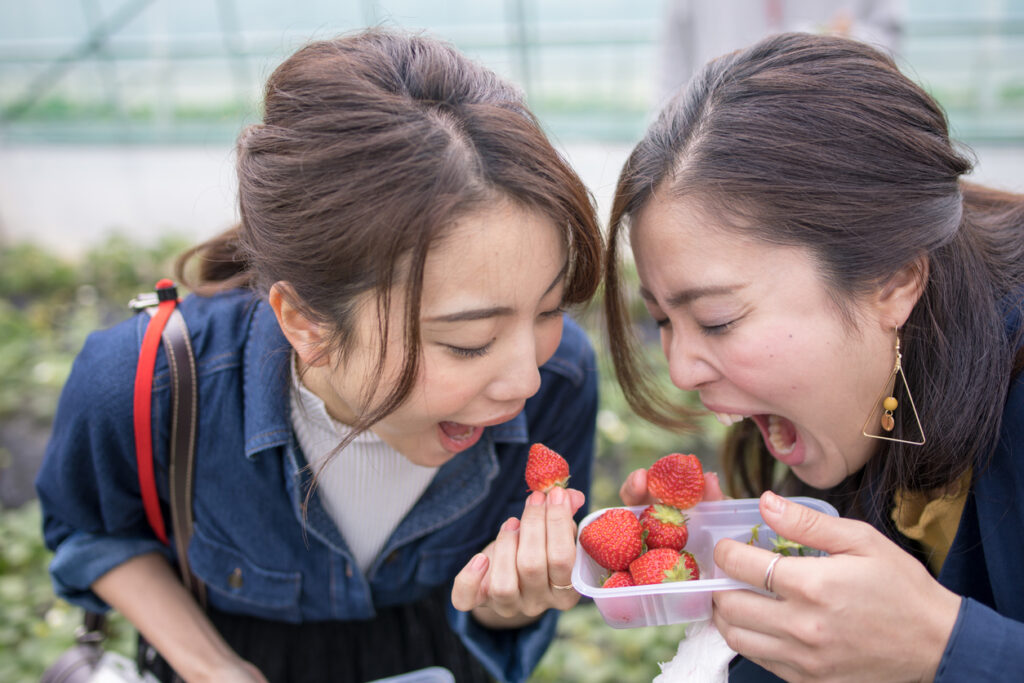 Young sisters eating strawberries