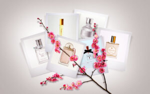 Japanese Plum Blossom Perfumes