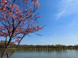 Mizumoto Park