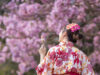 Spring Music and Art Festivals with Cherry Blossoms in Tokyo