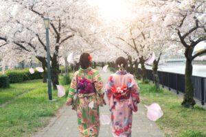 Cherry Blossom Season in Tokyo: Everything You Need to Know