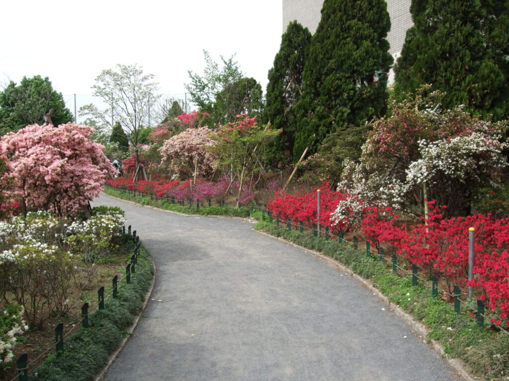 Heisei Tsutsuji Park