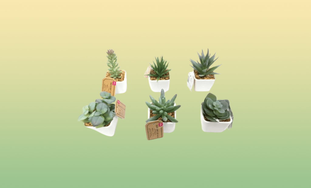 Artificial Succulent Plants Daiso 100 Yen Shop Home Decor