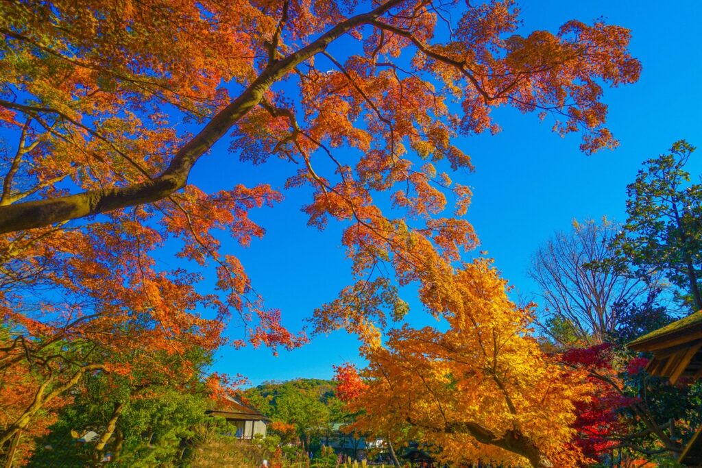 Sankeien Garden