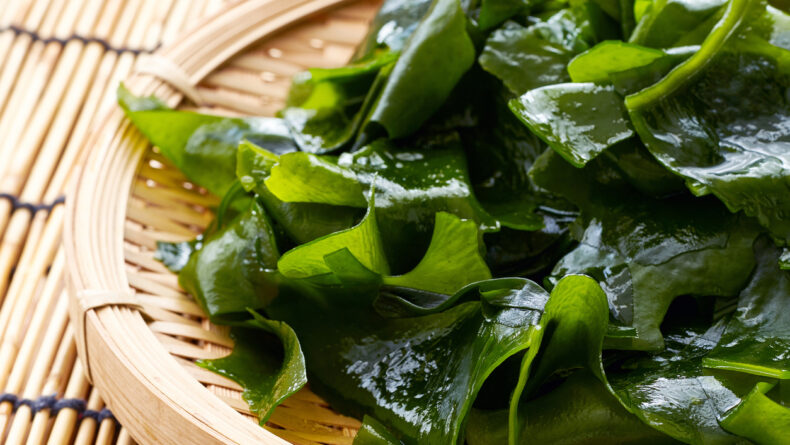 Japanese Seaweed: The Superfood You Can Find Everywhere (And Should Be Eating)