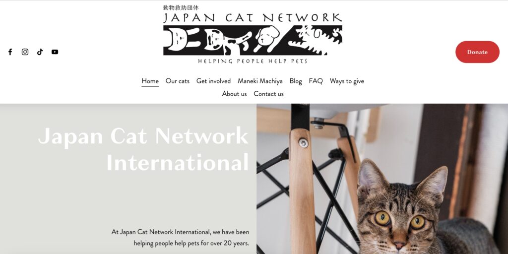 Japan Cat Network