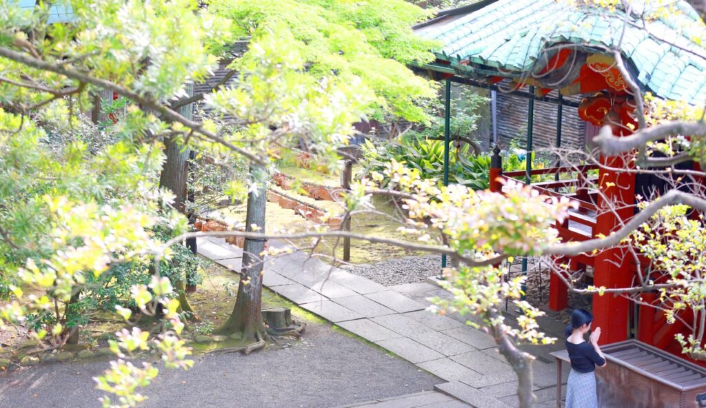 Akasaka Hikawa Shrine Matchmaking Shrines Tokyo Love