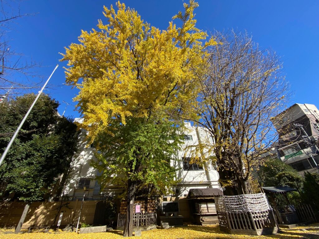 Tensō Shrine