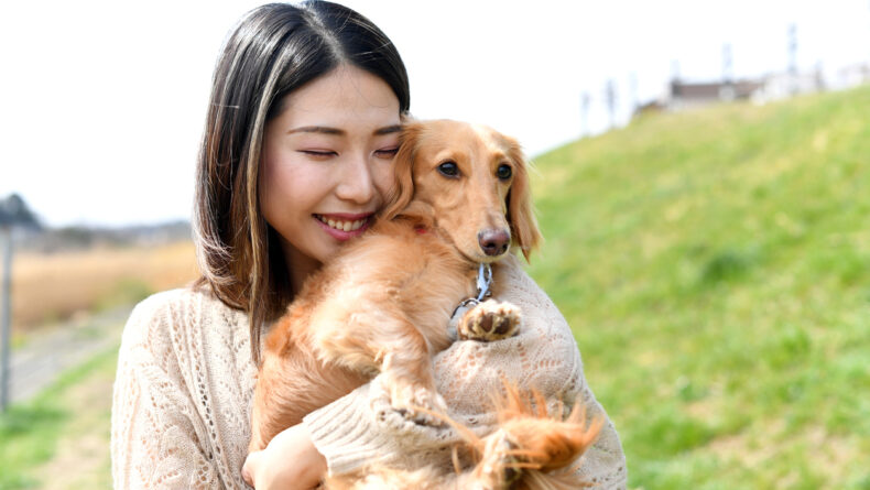 Pet Adoption in Japan