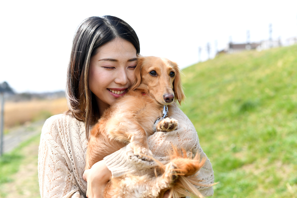 Pet adoption in Japan involves rescuing animals from shelters, promoting animal welfare, and encouraging responsible ownership.