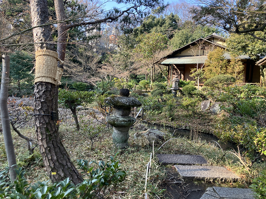 Nezu Museum Garden