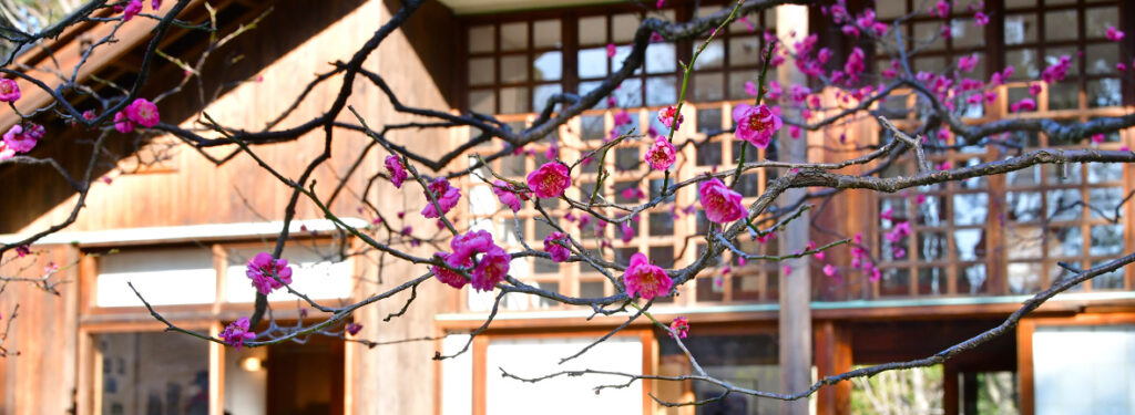 Koganei Park Edo-Tokyo Open-Air Architectural Museum