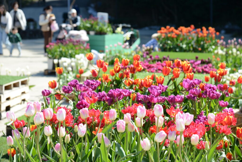 tulip terrace outdoor date ideas Tokyo